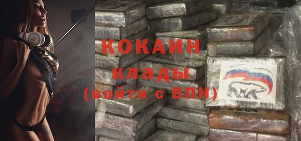 шишки Надым