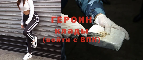 шишки Надым