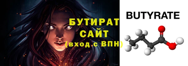 шишки Надым