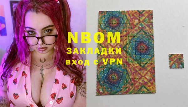 шишки Надым