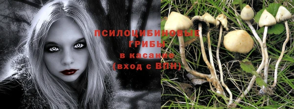гашик Навашино