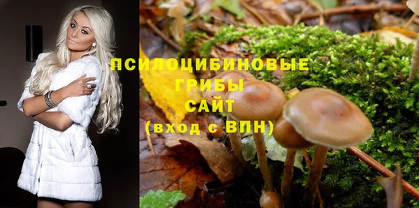 гашик Навашино
