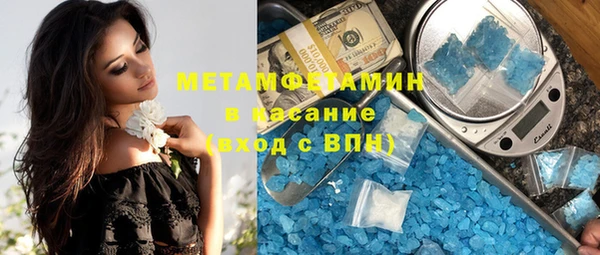 шишки Надым