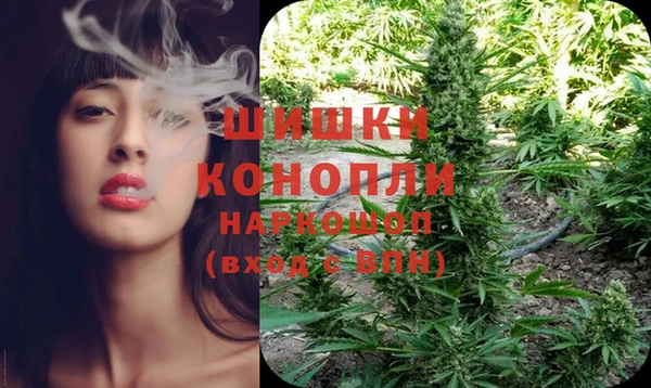 шишки Надым
