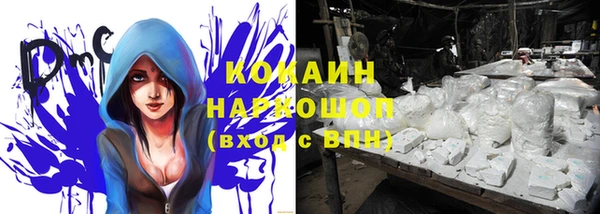 шишки Надым
