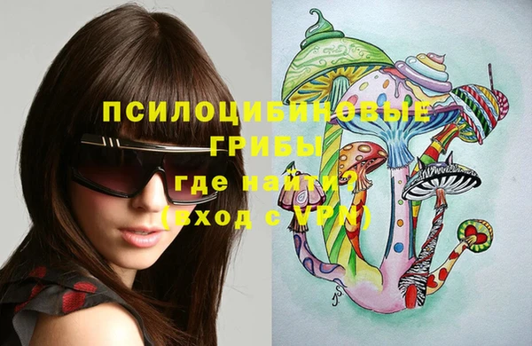 гашик Навашино