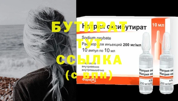шишки Надым