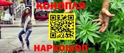 гашик Заводоуковск