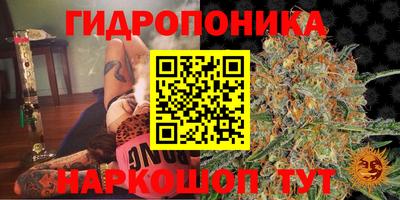 ГАЛЛЮЦИНОГЕННЫЕ ГРИБЫ Жуковский