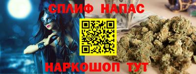 гашик Заводоуковск