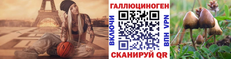 Галлюциногенные грибы Psilocybe  где продают   Лиски 